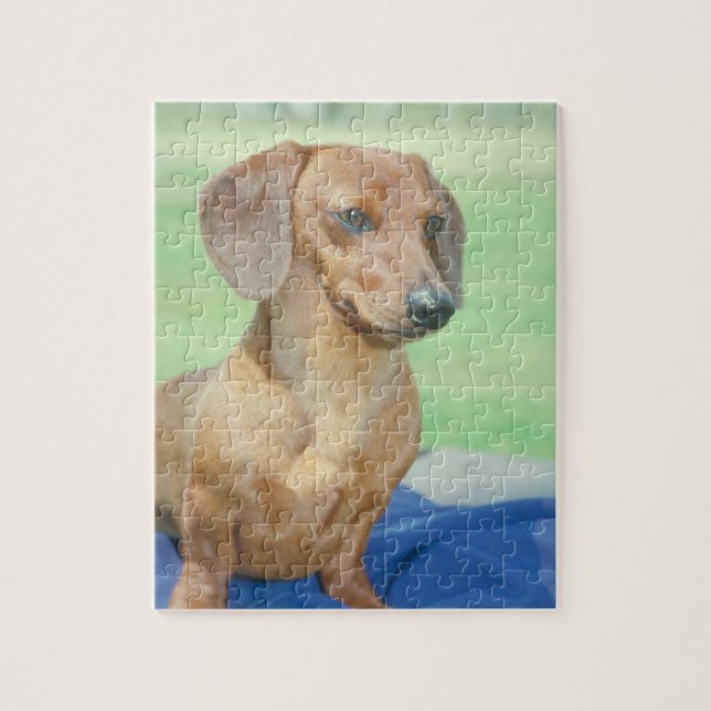 Puzzle de chien de teckel (Vertical)