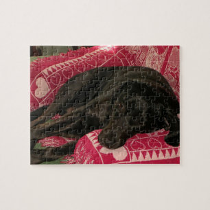 Puzzle de chien endormi