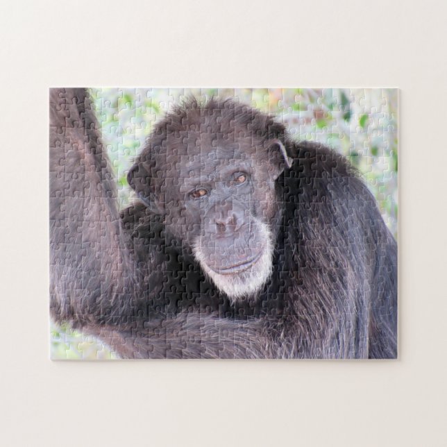 Puzzle de chimpanzé (Horizontal)