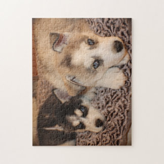 Puzzle de chiot de chien de traîneau sibérien