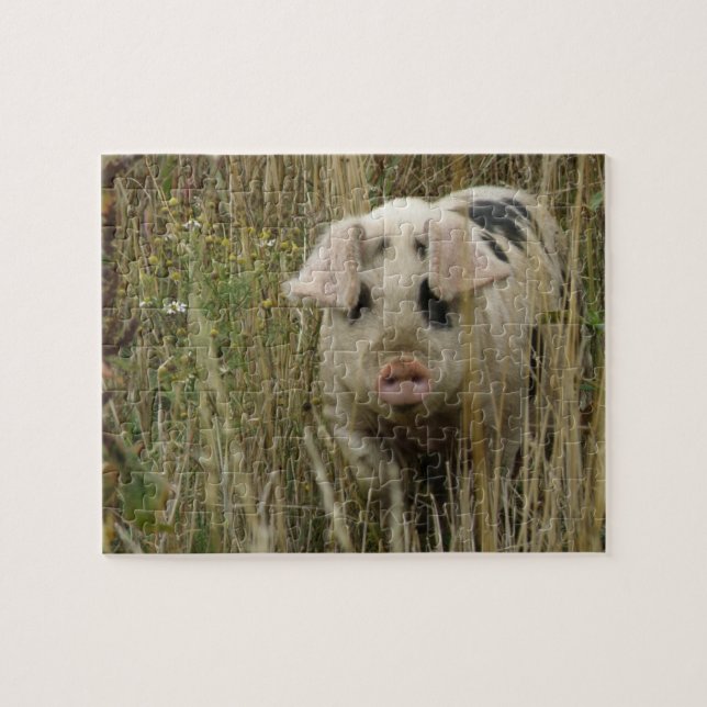 Puzzle de cochon mignon (Horizontal)