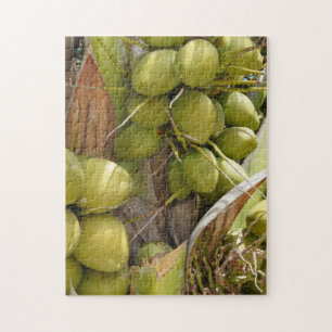 Puzzle de coco