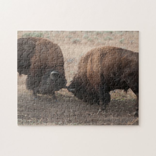 Puzzle de combat de faune de taureaux de bison (Horizontal)