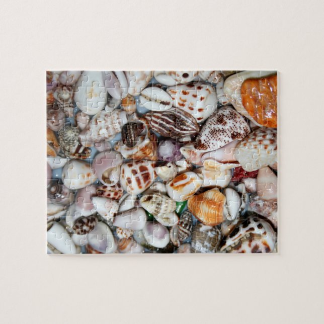 puzzle de coquille de mer (Horizontal)