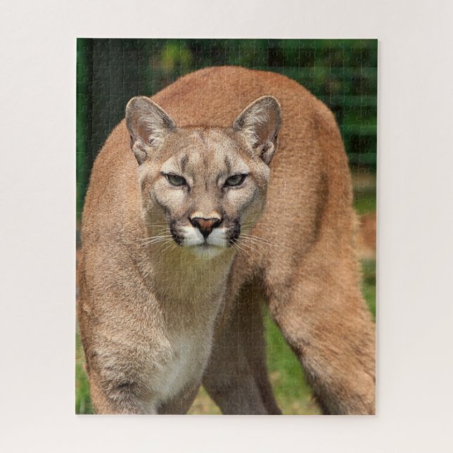 Puzzle de Cougar Lion (Vertical)