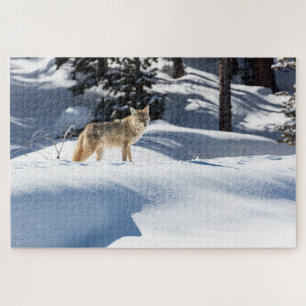 Puzzle de Coyote Hiver Animaux Sauvages