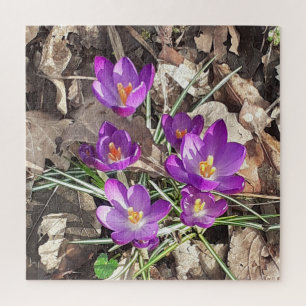 Puzzle de Crocus Jigsaw violet