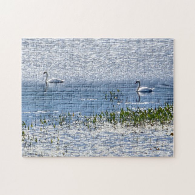 Puzzle de cygne du lac Sunset (Horizontal)