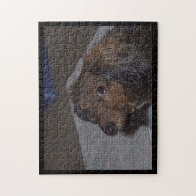 Puzzle de Dachshund à Poils Longs (Vertical)