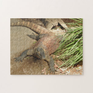 Puzzle de dragon de Komodo