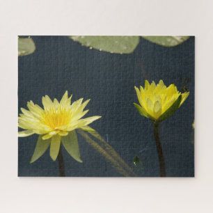 Puzzle de dragonfly Nénuphar jaune