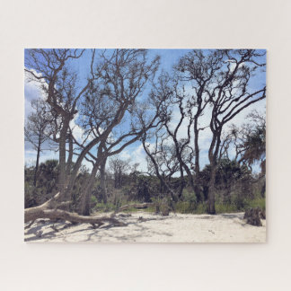 Puzzle de Driftwood Beach
