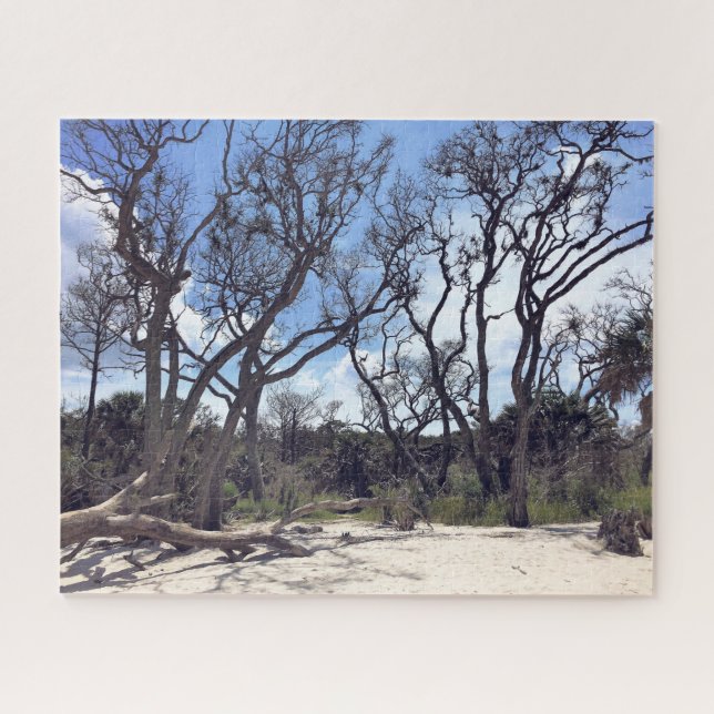Puzzle de Driftwood Beach (Horizontal)