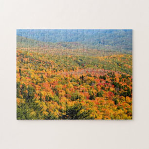 Puzzle de feuillage d'automne