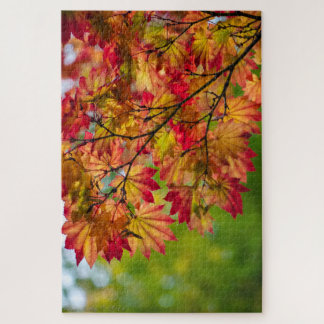 Puzzle de feuilles d'automne vraiment colorées