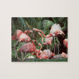 Puzzle de Flamants roses