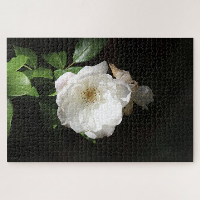Puzzle de fleur blanche unique (Horizontal)