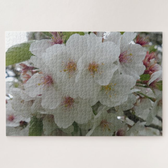 Puzzle de fleurs blanches (Horizontal)