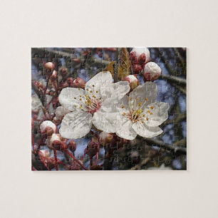 Puzzle de fleurs de cerisier
