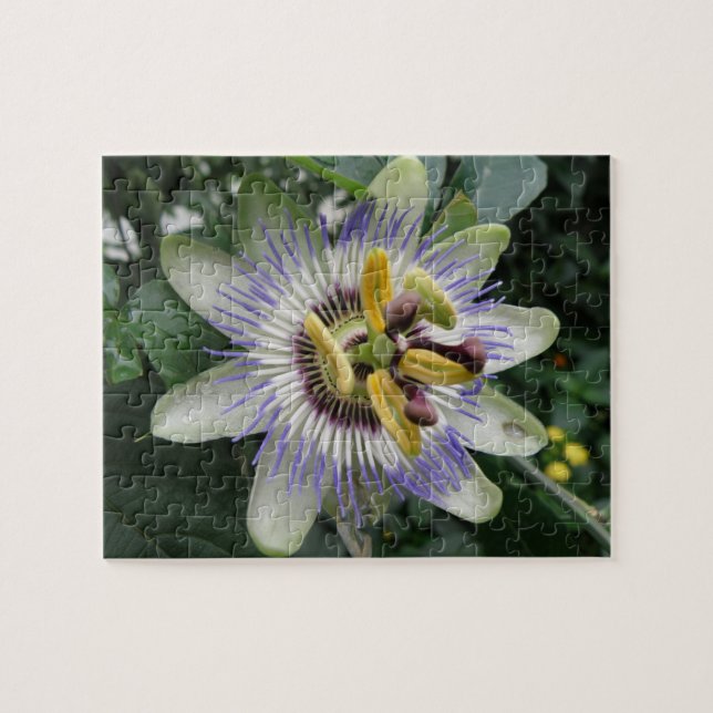 Puzzle de fleurs de passion (Horizontal)