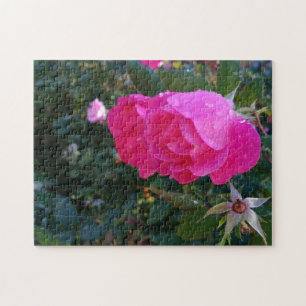 Puzzle de fleurs de roses rouges