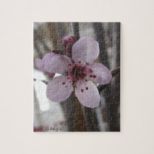 Puzzle de fleurs du printemps