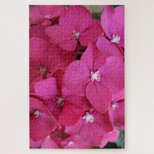 Puzzle de fleurs rose Hydrangea