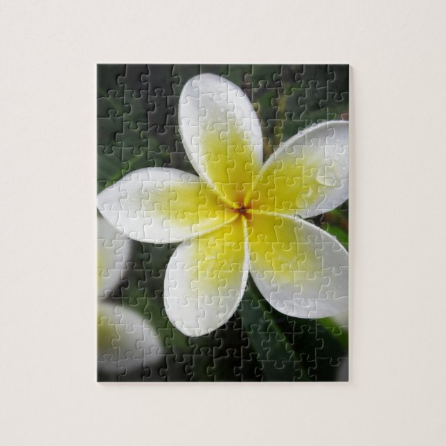 Puzzle de Frangipani et de gouttes de pluie (Vertical)