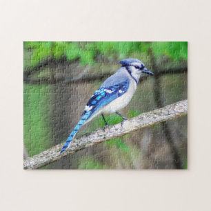 Puzzle de geai bleu