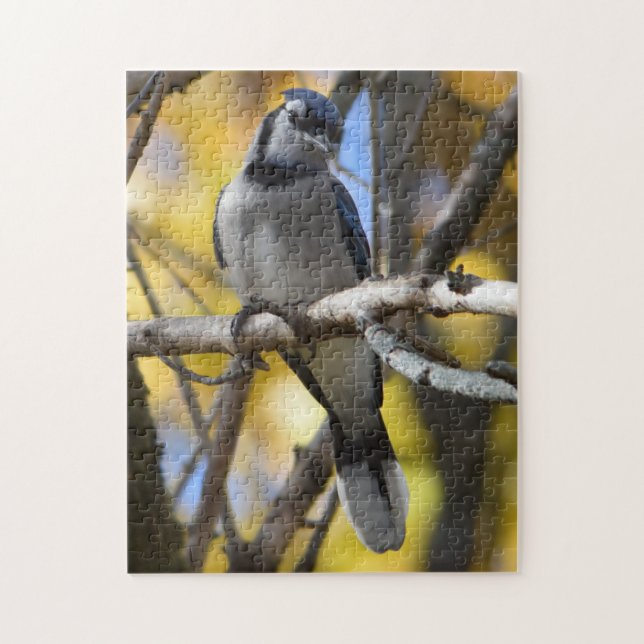 Puzzle de geai bleu (Vertical)