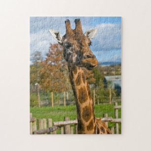 Puzzle de girafe