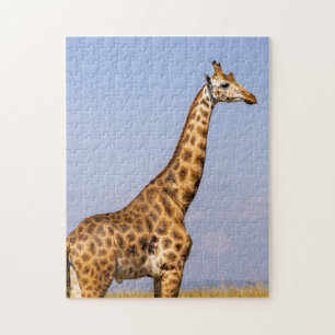 puzzle de girafes