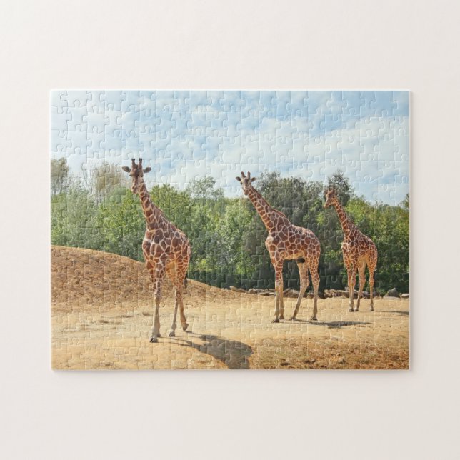 Puzzle de girafes (Horizontal)