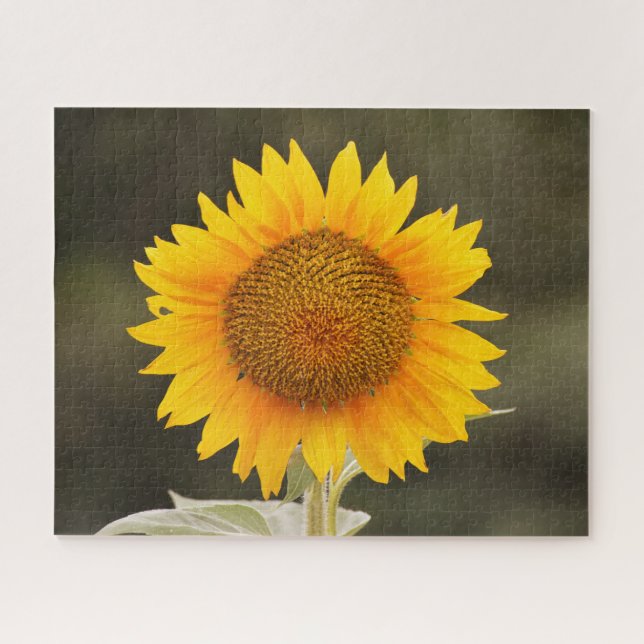 Puzzle de grande fleur de tournesol (Horizontal)