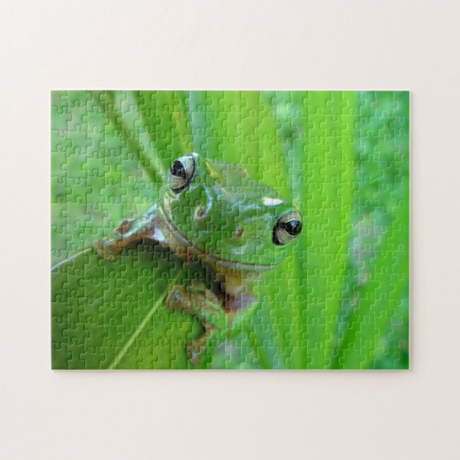 Puzzle de grenouille verte (Horizontal)