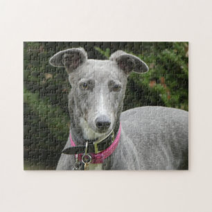 Puzzle de Greyhound