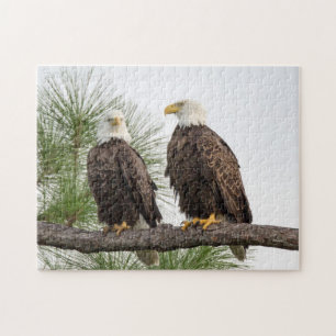Puzzle de H&O
