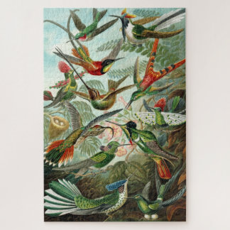 Puzzle de Haeckel Hummingbirds