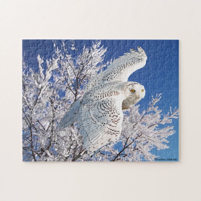 Puzzle "de hibou de Milou" (Horizontal)