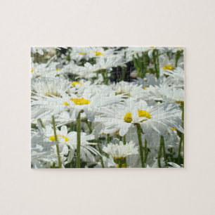 Puzzle de jardin de fleurs de marguerite Puzzles a