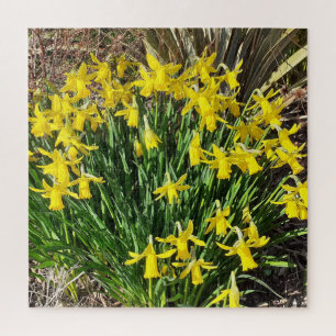 Puzzle de jonquilles jaunes de printemps