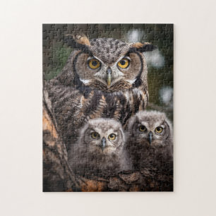 Puzzle de la famille Owl