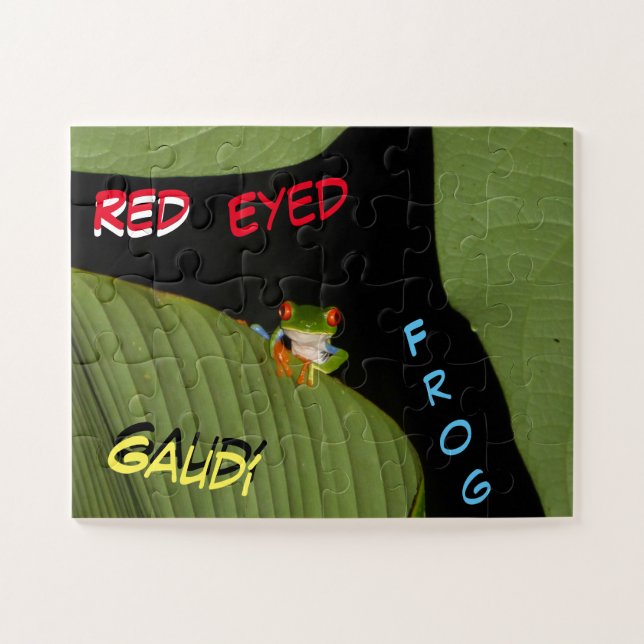 Puzzle de la faune : Cute Colorée Frog (Horizontal)