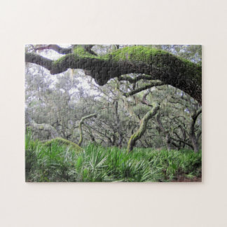 Puzzle de la forêt de Cumberland Island