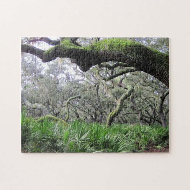 Puzzle de la forêt de Cumberland Island (Horizontal)