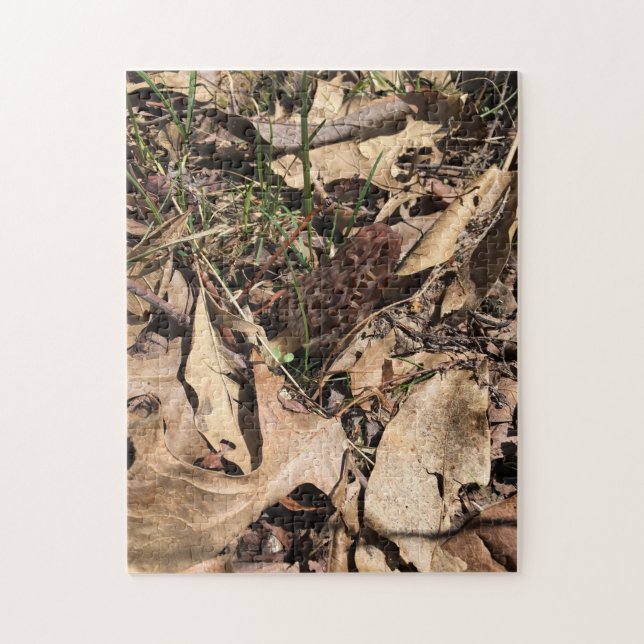 Puzzle de la Morille (Vertical)