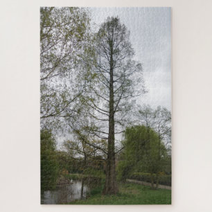Puzzle de la nature