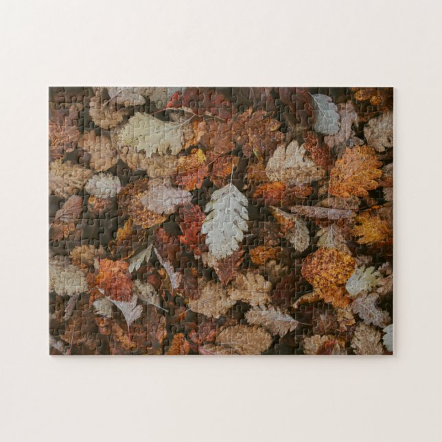 Puzzle de la nature Puzzle d'automne Puzzle extrêm (Horizontal)