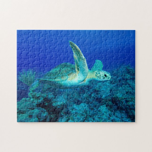 Puzzle de la petite tortue marine (Horizontal)