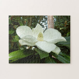 Puzzle de la photo de Magnolia Grandiflora avec co
